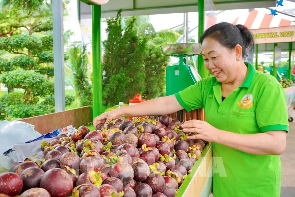 Lễ hội năm nay, Suối Tiên chính thức ra mắt Bộ sưu tập trái cây cao cấp, độc lạ, quý hiếm có nguồn gốc xuất xứ từ các nước trên thế giới được trồng tại nông trại Suoi Tien Farm